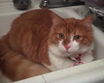 Thumbnail image for VIDEO: I’m with MoMo