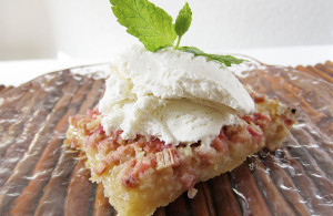 Rhubarb Dream Dessert | www.EatLaughPurr.com