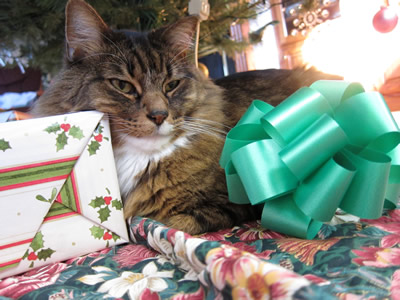Post image for Best Present Ever