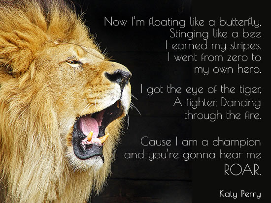 Roar by Katy Perry