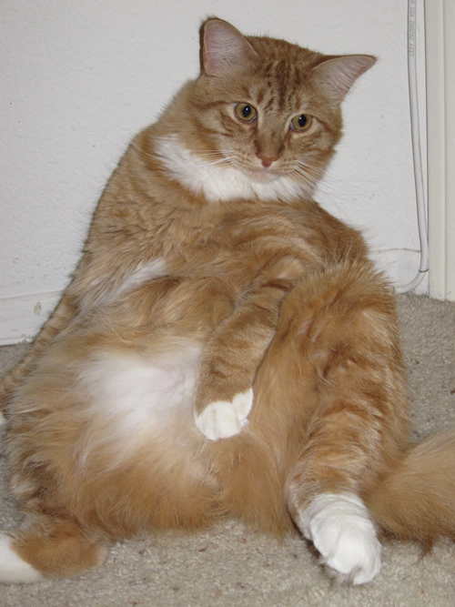 Max