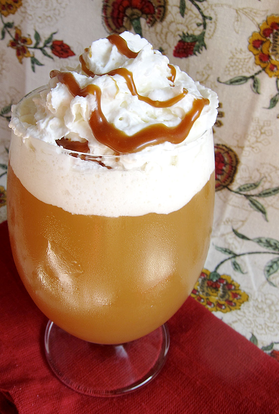Caramel Apple Cider - a perfect Fall beverage | www.EatLaughPurr.com