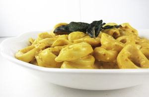 Pumpkin Alfredo Sauce with Cheese Tortellini | www.EatLaughPurr.com