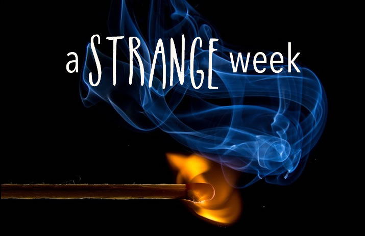 A Strange Week | www.EatLaughPurr.com