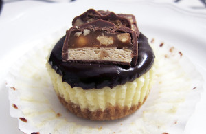 Cheesecake Cupcakes with Chocolate Sauce | www.EatLaughPurr.com