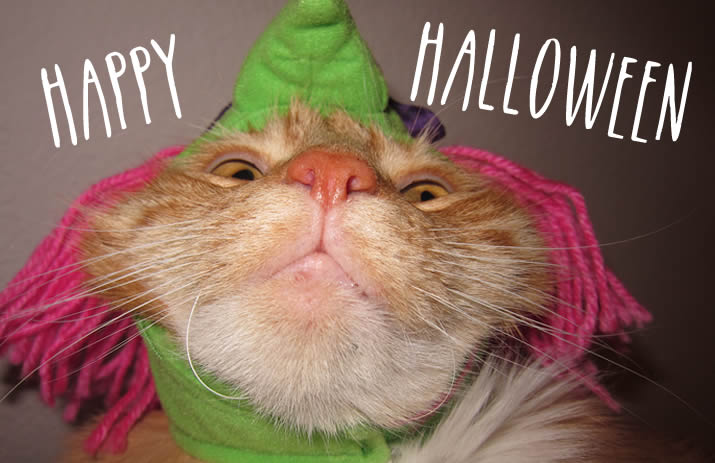 Happy Halloween
