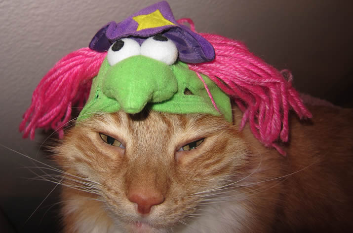 Happy Halloween 