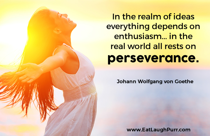 In the realm of ideas everything depends on enthusiasm... in the real world all rests on perseverance. Johann Wolfgang von Goethe
