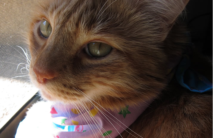 Max turns 5!