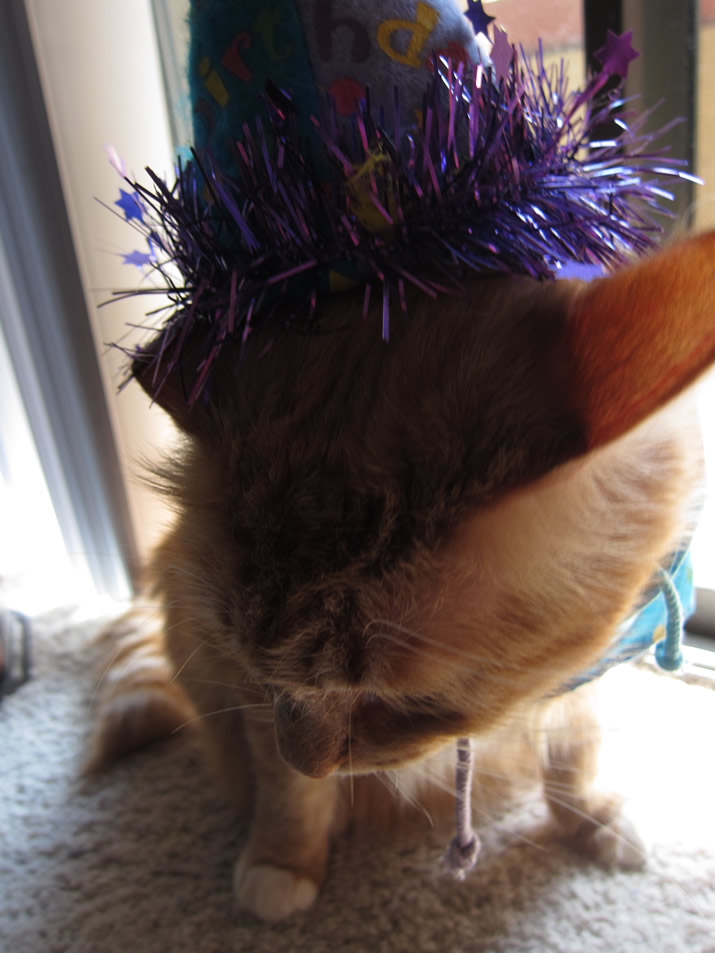 Max in his birthday scarf and hat