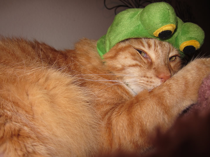 Max looking cranky in his frog mask